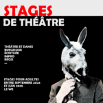 affiche-stage-adultes
