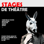 affiche-stages-adultes