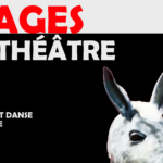 bannière stage adultes